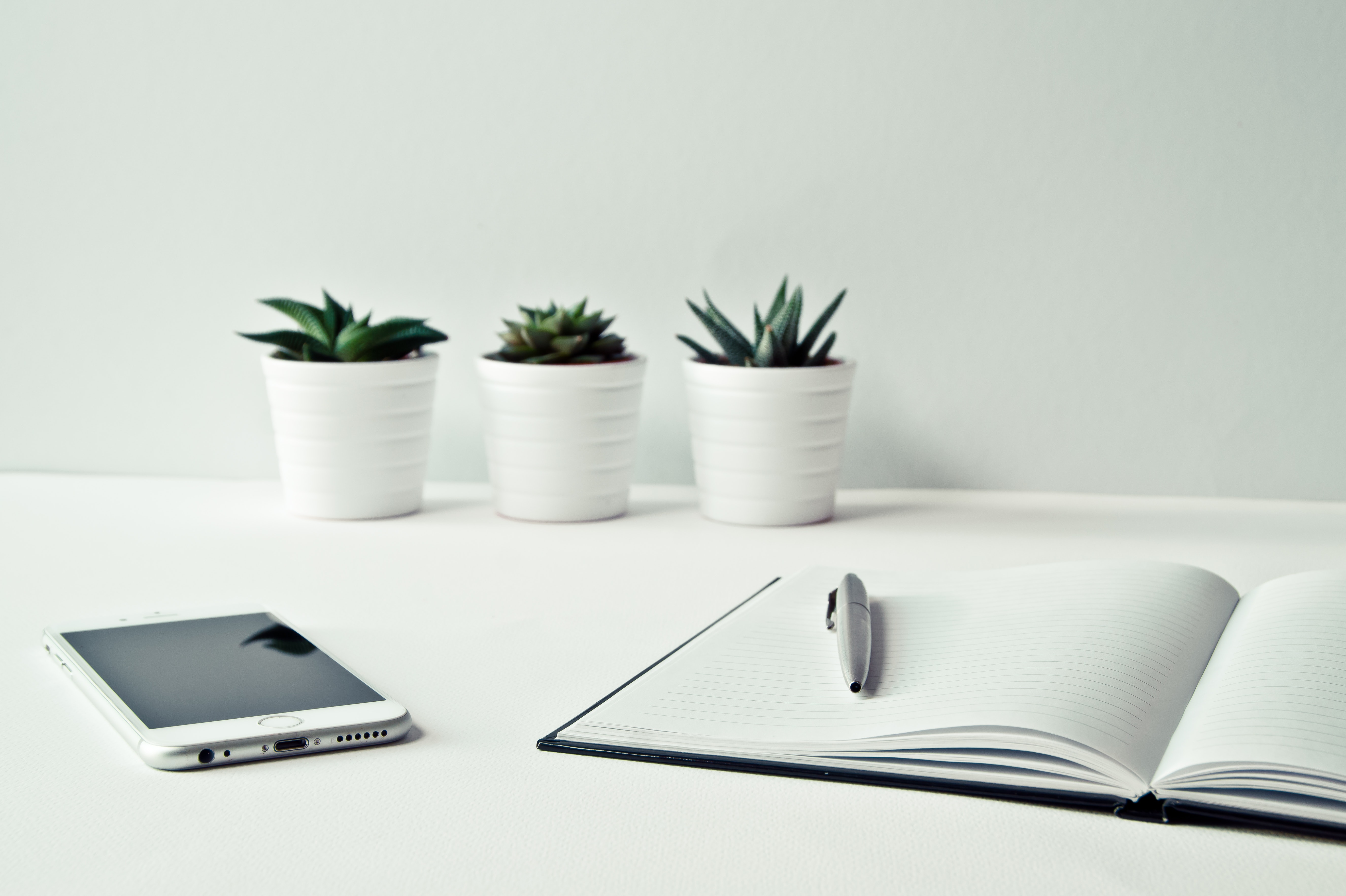 Three Succulents, Cell Phone, Notepad with Pen